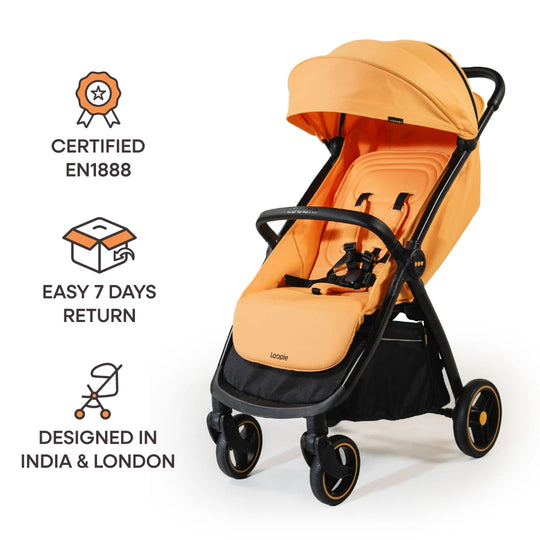 #color_orange-sunset