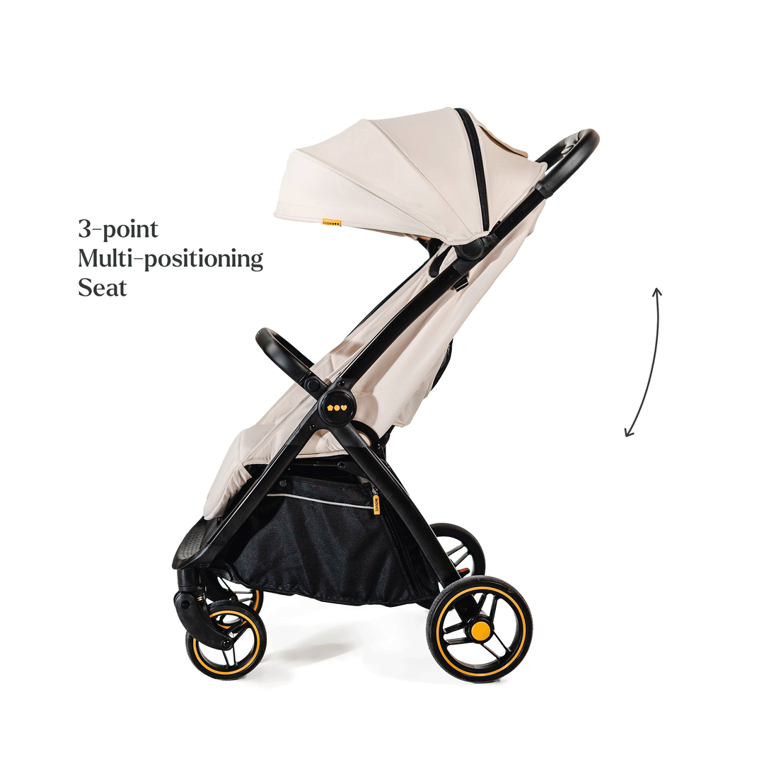 Loopie Hop and Lap Bundle