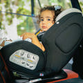 Loopie Hop and Lap Bundle