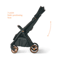 Loopie Hop and Lap Bundle
