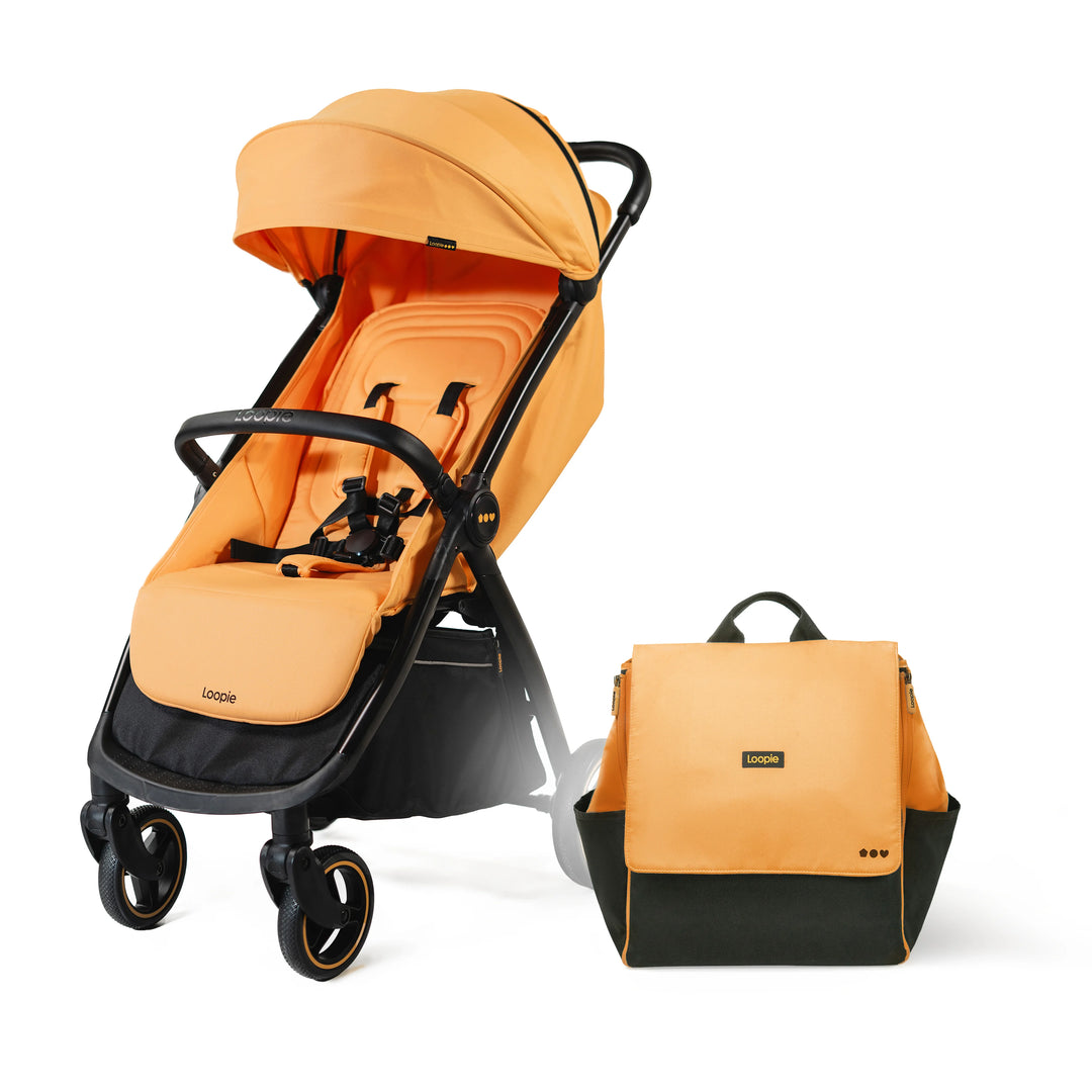 Loopie Hop & Robin Bundle